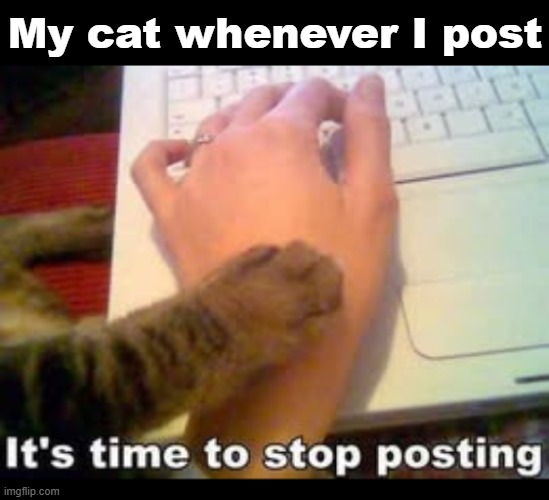 My cat whenever I post | made w/ Imgflip meme maker
