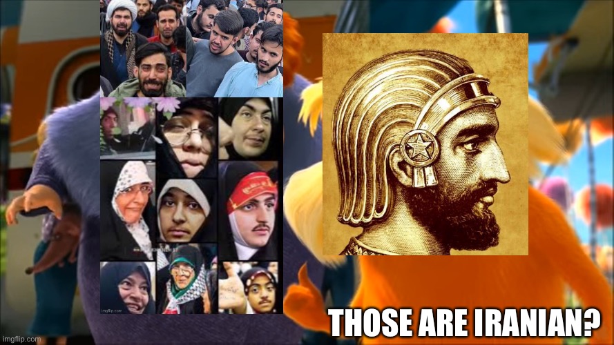 Lorax That's A Woman | THOSE ARE IRANIAN? | image tagged in lorax that's a woman,iran,iranian,persian,islamic republic,persia | made w/ Imgflip meme maker