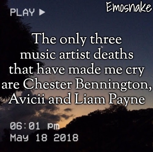 Emosnake's dreamy temp | The only three music artist deaths that have made me cry are Chester Bennington, Avicii and Liam Payne | image tagged in emosnake's dreamy temp | made w/ Imgflip meme maker