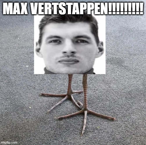 Pukeko chick | MAX VERTSTAPPEN!!!!!!!!! | image tagged in pukeko chick | made w/ Imgflip meme maker