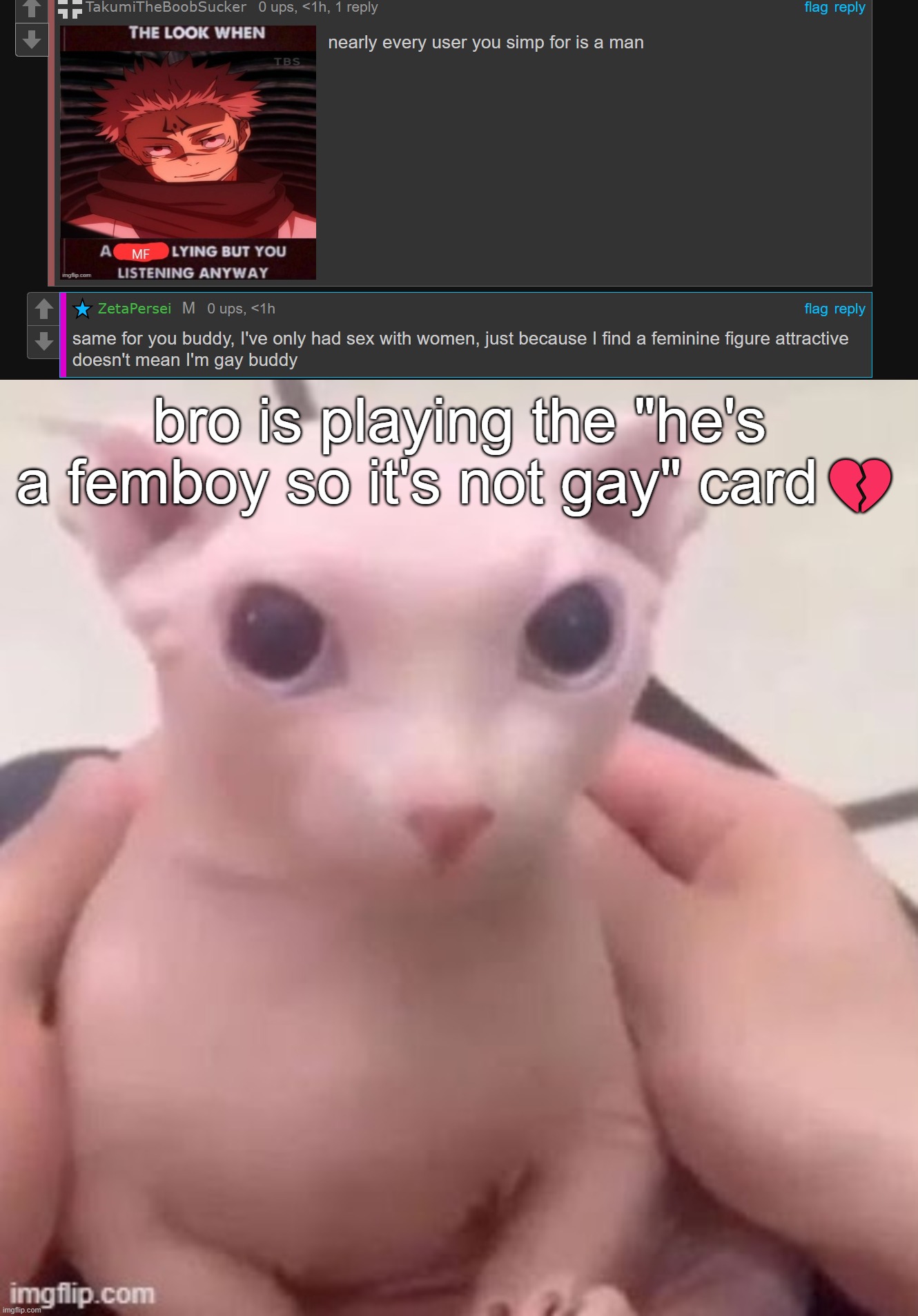 bro is playing the "he's a femboy so it's not gay" card💔 | image tagged in bingus | made w/ Imgflip meme maker