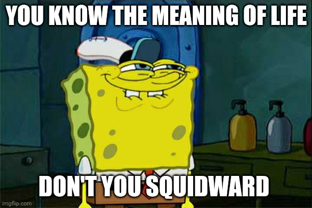 Don't You Squidward | YOU KNOW THE MEANING OF LIFE; DON'T YOU SQUIDWARD | image tagged in memes,don't you squidward | made w/ Imgflip meme maker