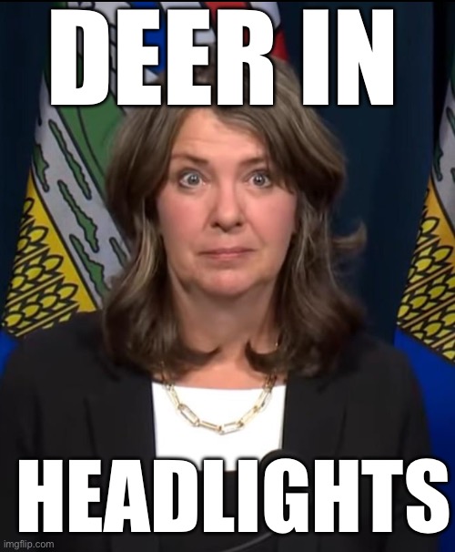 Danielle Smith | DEER IN; HEADLIGHTS | image tagged in danielle smith | made w/ Imgflip meme maker