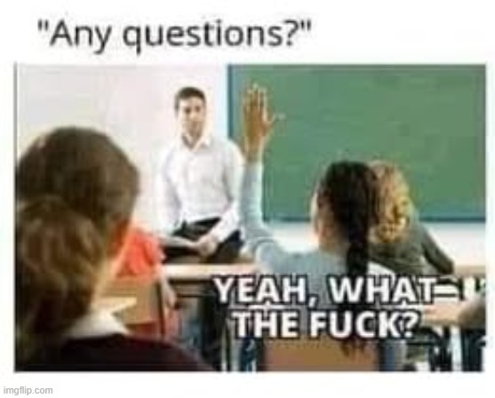 "Any questions?" "Yeah, what the fuck?" | image tagged in any questions yeah what the fuck | made w/ Imgflip meme maker