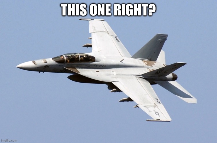 f 18 super hornet | THIS ONE RIGHT? | image tagged in f 18 super hornet | made w/ Imgflip meme maker