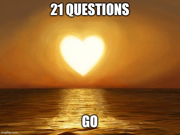 Love | 21 QUESTIONS; GO | image tagged in love | made w/ Imgflip meme maker