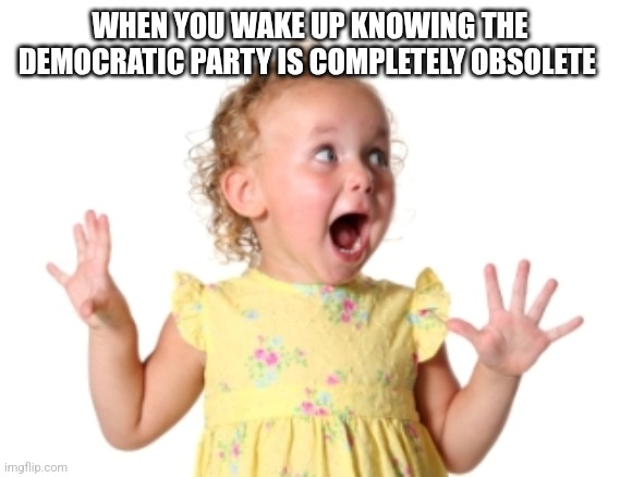 WHEN YOU WAKE UP KNOWING THE DEMOCRATIC PARTY IS COMPLETELY OBSOLETE | image tagged in funny memes | made w/ Imgflip meme maker