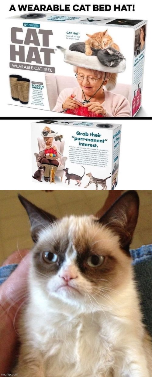 Wearable what now? | image tagged in memes,grumpy cat,grumpy cat bed | made w/ Imgflip meme maker