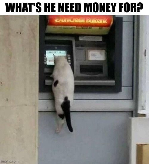 What's He Need Money For? | WHAT'S HE NEED MONEY FOR? | image tagged in chris joines | made w/ Imgflip meme maker