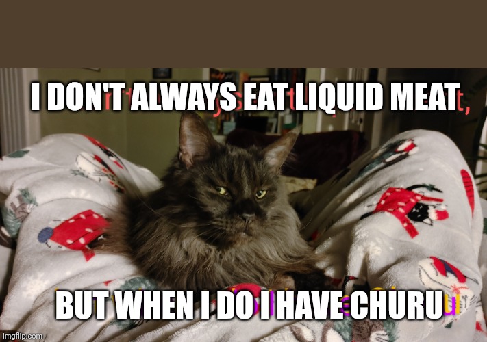 Maine Coon likes his Churu | I DON'T ALWAYS EAT LIQUID MEAT; BUT WHEN I DO I HAVE CHURU | image tagged in cat,lolcats,advertising,chill guy,spoiled,relaxing | made w/ Imgflip meme maker