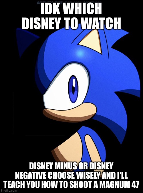 ‍ | IDK WHICH DISNEY TO WATCH; DISNEY MINUS OR DISNEY NEGATIVE CHOOSE WISELY AND I’LL TEACH YOU HOW TO SHOOT A MAGNUM 47 | image tagged in sonic blank stare in the dark,gun | made w/ Imgflip meme maker