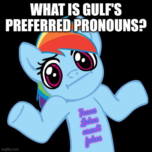 Pony Shrugs Meme | WHAT IS GULF'S PREFERRED PRONOUNS? Trans Lakes aren't fakes | image tagged in memes,pony shrugs | made w/ Imgflip meme maker