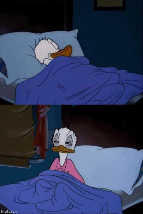 donald duck waking up | image tagged in donald duck waking up | made w/ Imgflip meme maker