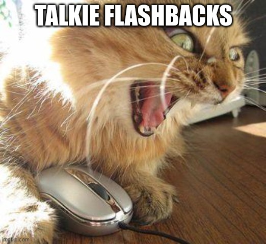 angry cat | TALKIE FLASHBACKS | image tagged in angry cat | made w/ Imgflip meme maker