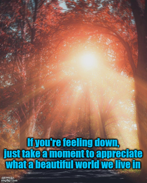 Day 1 of posting something uplifting every day | If you're feeling down, just take a moment to appreciate what a beautiful world we live in | image tagged in sunlight | made w/ Imgflip meme maker