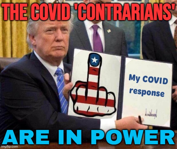 The Covid 'Contrarians' Are In Power | THE COVID 'CONTRARIANS'; ARE IN POWER | image tagged in trump's covid-19 response,covid-19,donald trump,china virus,healthcare,coronavirus meme | made w/ Imgflip meme maker