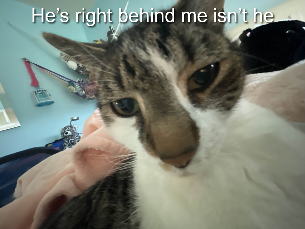 Tiny tim Blank Meme Template