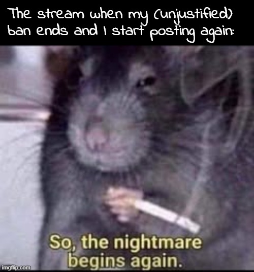 The stream when my (unjustified) ban ends and I start posting again: | made w/ Imgflip meme maker