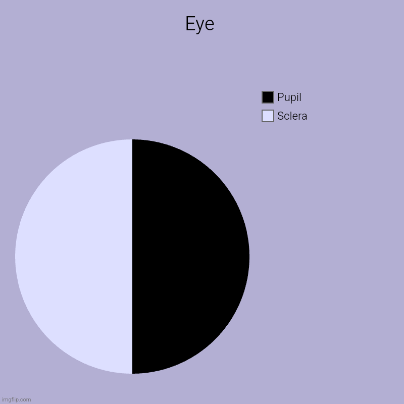 Eye | Eye | Sclera, Pupil | image tagged in charts,pie charts,eye | made w/ Imgflip chart maker