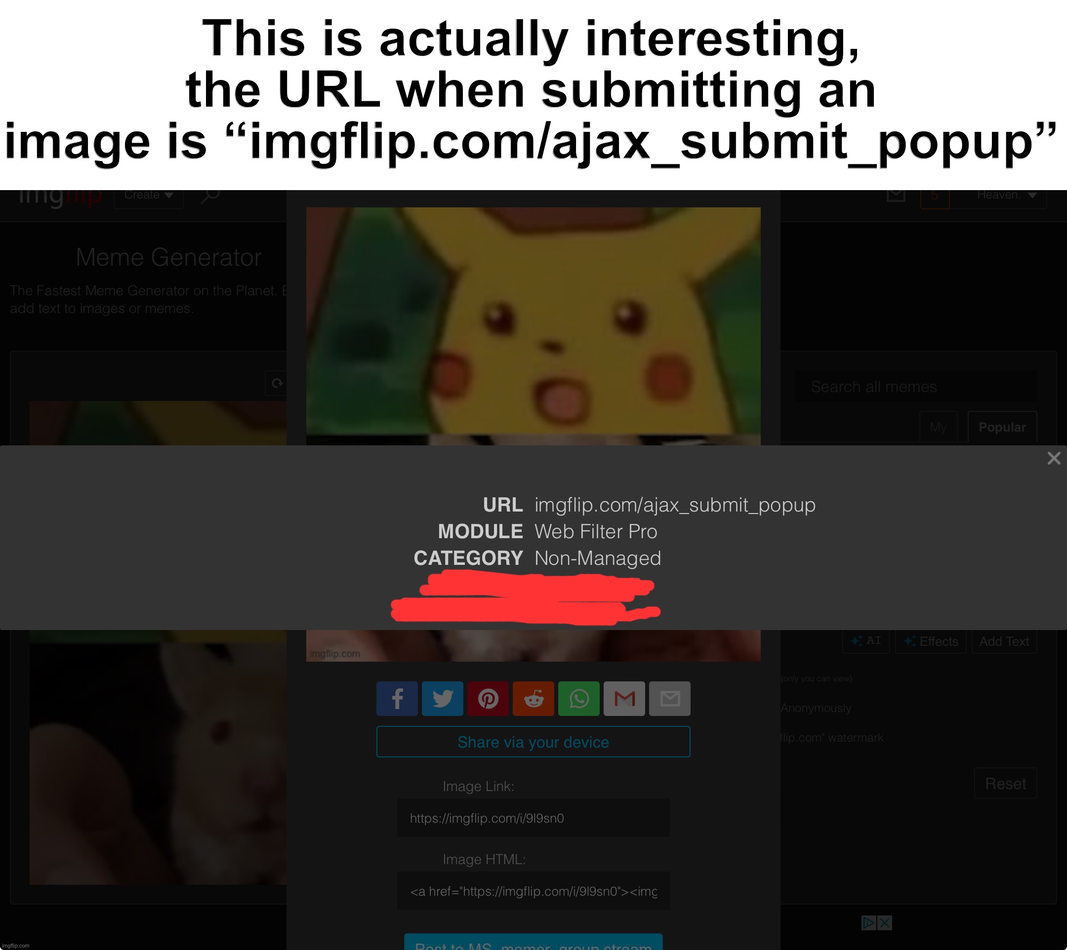 Interesting imgflip link | This is actually interesting, the URL when submitting an image is “imgflip.com/ajax_submit_popup” | image tagged in imgflip | made w/ Imgflip meme maker