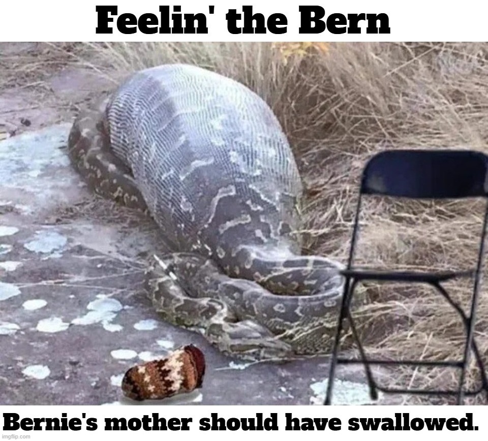 South African Python Eats Bernie Sanders & dies | image tagged in south africa,python,bernie sanders once again asking,beggar,elon musk laughing,african american | made w/ Imgflip meme maker