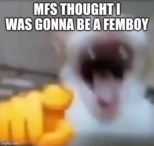 Cat pointing and laughing | MFS THOUGHT I WAS GONNA BE A FEMBOY | image tagged in cat pointing and laughing | made w/ Imgflip meme maker
