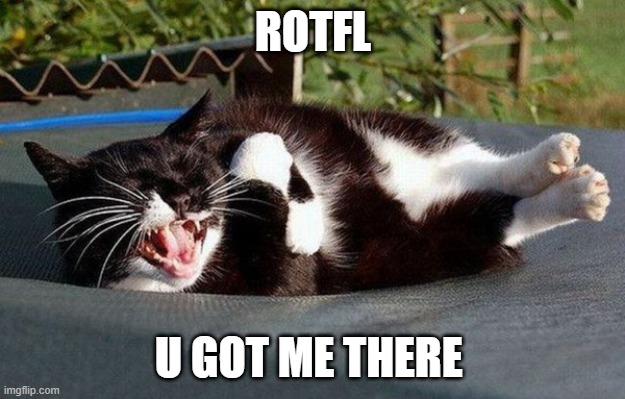 ROTFL Cat | ROTFL U GOT ME THERE | image tagged in rotfl cat | made w/ Imgflip meme maker