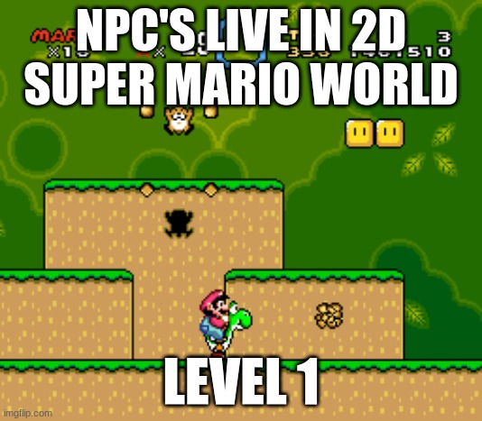 NPC's live in 2D Super Mario World | NPC'S LIVE IN 2D
SUPER MARIO WORLD; LEVEL 1 | image tagged in npc | made w/ Imgflip meme maker