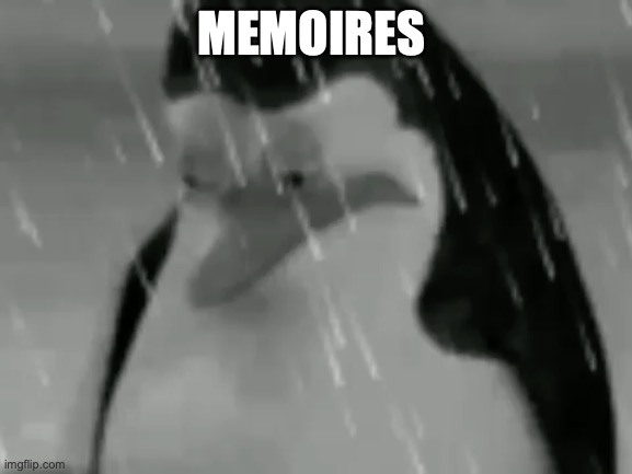 Sadge | MEMOIRES | image tagged in sadge | made w/ Imgflip meme maker