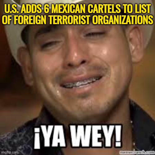 US Adds 6 Mexican Cartels To List Of Foreign Terrorist Organizations | U.S. ADDS 6 MEXICAN CARTELS TO LIST
OF FOREIGN TERRORIST ORGANIZATIONS | image tagged in ya wey,mexico,breaking news,terrorism,war on drugs,donald trump | made w/ Imgflip meme maker