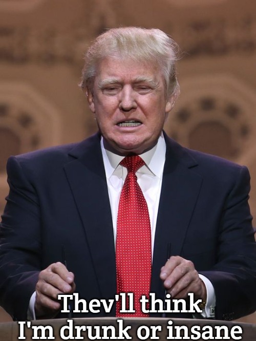 Donald Trump | Thev'll think I'm drunk or insane | image tagged in donald trump | made w/ Imgflip meme maker