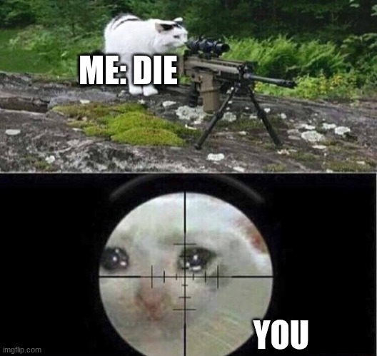 Sniper cat | ME: DIE YOU | image tagged in sniper cat | made w/ Imgflip meme maker