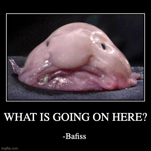 thank you, talan sego | WHAT IS GOING ON HERE? | -Bafiss | image tagged in funny,demotivationals,blobfish | made w/ Imgflip demotivational maker