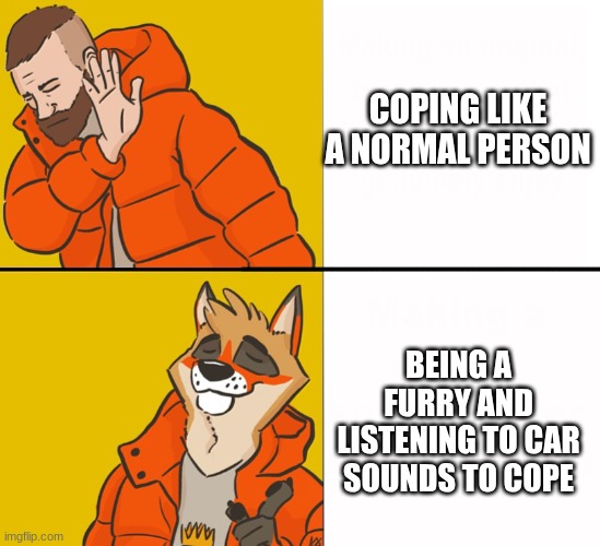 Furry Drake | COPING LIKE A NORMAL PERSON; BEING A FURRY AND LISTENING TO CAR SOUNDS TO COPE | image tagged in furry drake | made w/ Imgflip meme maker