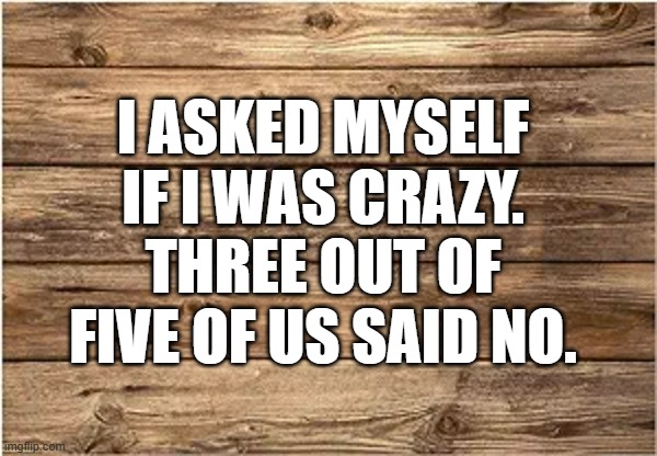 memes by Brad - I asked myself if I was crazy. 3 out of 5 of us said "no". | I ASKED MYSELF IF I WAS CRAZY. THREE OUT OF FIVE OF US SAID NO. | image tagged in funny,fun,play on words,crazy,humor | made w/ Imgflip meme maker