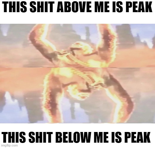 Peak Almost Everywhere | THIS SHIT ABOVE ME IS PEAK; THIS SHIT BELOW ME IS PEAK | image tagged in skar king,meme,twin peaks | made w/ Imgflip meme maker