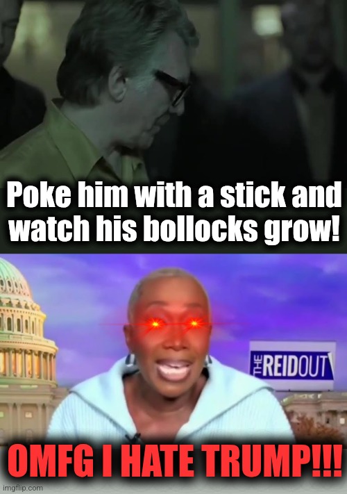 Out of their jobs: Joy Reid AND her staff! | Poke him with a stick and
watch his bollocks grow! OMFG I HATE TRUMP!!! | image tagged in memes,joy reid,msnbc,staff,fired,democrats | made w/ Imgflip meme maker