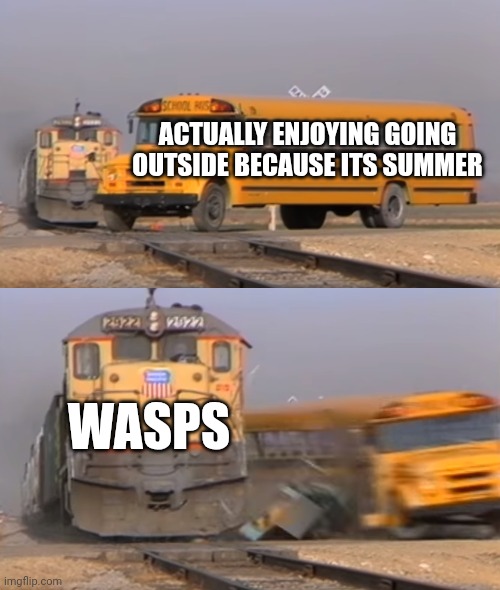 Buttholes with wings | ACTUALLY ENJOYING GOING OUTSIDE BECAUSE ITS SUMMER; WASPS | image tagged in a train hitting a school bus | made w/ Imgflip meme maker