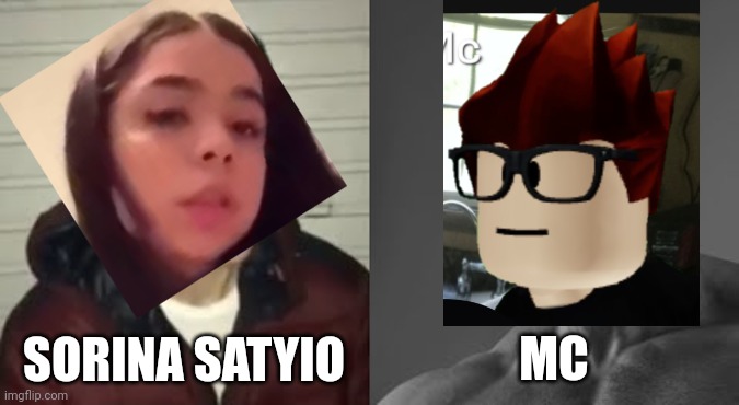 Bluranth argument in a nutshell | SORINA SATYIO; MC | image tagged in average enjoyer meme,mc,sorina satyio,bluranth,moscovio may,moscovio | made w/ Imgflip meme maker