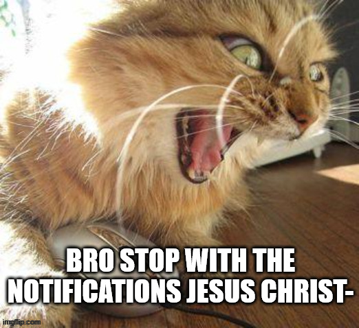 BRO STOP WITH THE NOTIFICATIONS JESUS CHRIST- | made w/ Imgflip meme maker