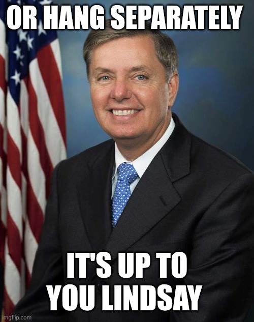 Hang Together | OR HANG SEPARATELY; IT'S UP TO YOU LINDSAY | image tagged in lindsey graham,rino | made w/ Imgflip meme maker