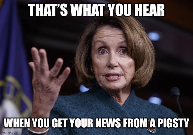 Good old Nancy Pelosi | THAT’S WHAT YOU HEAR WHEN YOU GET YOUR NEWS FROM A PIGSTY | image tagged in good old nancy pelosi | made w/ Imgflip meme maker