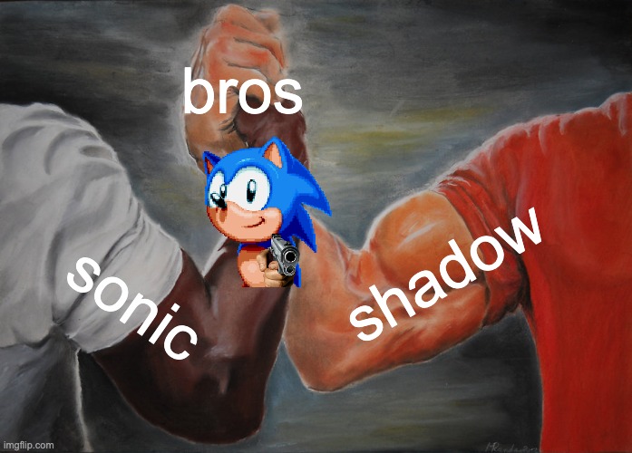 Epic Handshake | bros; shadow; sonic | image tagged in memes,epic handshake | made w/ Imgflip meme maker