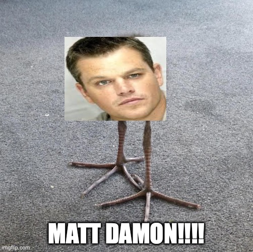 lmao | MATT DAMON!!!! | image tagged in pukeko chick | made w/ Imgflip meme maker