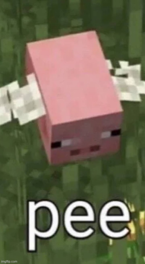 Pee | image tagged in minecraft pee | made w/ Imgflip meme maker