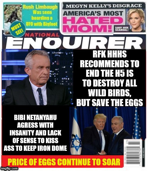 National Enquirer RFK want's all wild birds culled | image tagged in national enquirer rfk want's all wild birds culled,h5 virus bird flu,eggs,trump stops funding virus development,maga moron | made w/ Imgflip meme maker