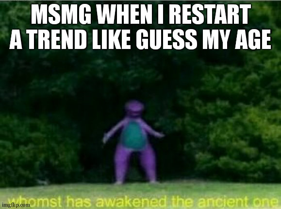 bruh | MSMG WHEN I RESTART A TREND LIKE GUESS MY AGE | image tagged in msmg | made w/ Imgflip meme maker