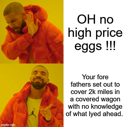 Grown up stop whining, buy a chicken or 2 if you want eggs | OH no high price eggs !!! Your fore fathers set out to cover 2k miles in a covered wagon with no knowledge of what lyed ahead. | image tagged in memes,drake hotline bling | made w/ Imgflip meme maker