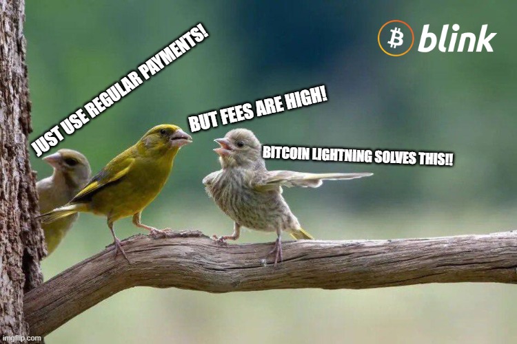 Meme | JUST USE REGULAR PAYMENTS! BUT FEES ARE HIGH! BITCOIN LIGHTNING SOLVES THIS!! | image tagged in blink meme contest 01 | made w/ Imgflip meme maker