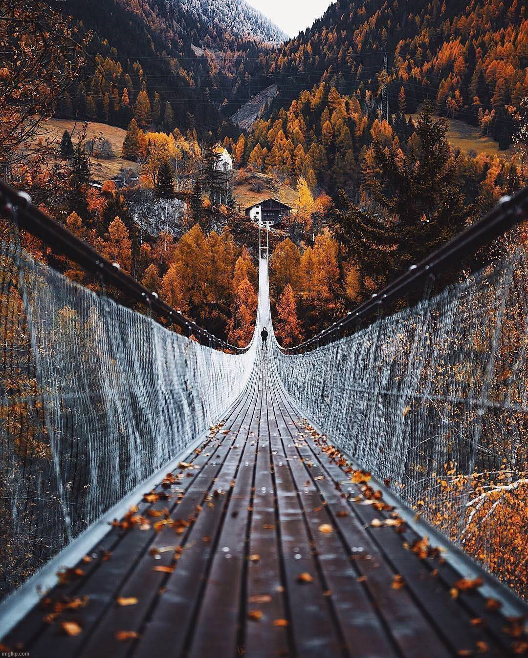 Awesome footbridge | image tagged in awesome | made w/ Imgflip meme maker